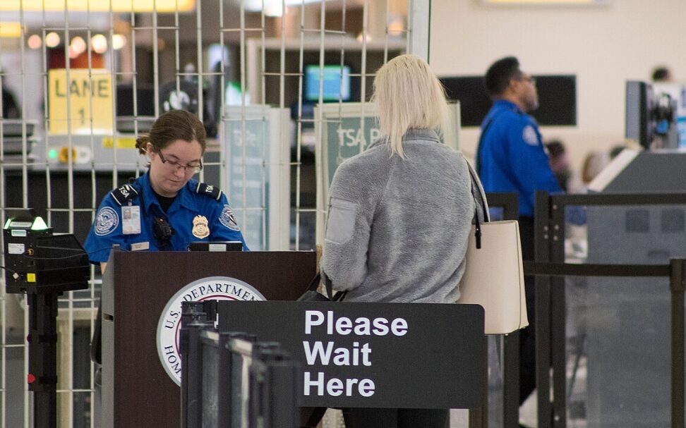 Democrats Have Blocked TSA Workers' Paychecks Five Times. Elon Musk Just Offered to Do What Congress Won't.